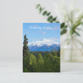 Carte Postale Beau Denali (Debout devant)