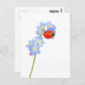 Carte Postale Beau dessin de Ladybug (Devant / Derrière)