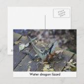 Carte Postale Beau Dragon D'Eau (Devant / Derrière)