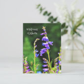 Carte Postale Beau Fleurs sauvages violets en fleurs (Debout devant)