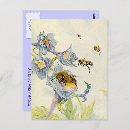 CARTE POSTALE BEAU HONEYABES NATURE BEEKEEPERS HONEY POSTCARDS (Devant / Derrière)