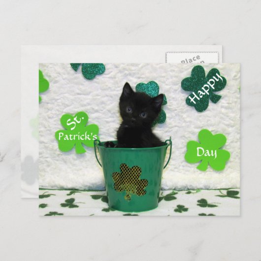 Carte Postale Beau Jack's St. Patrick's Day Chat / Kitten (Devant / Derrière)