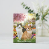 Carte Postale Beau jardin de printemps avec deux chats (Debout devant)