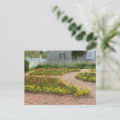 Carte Postale Beau jardin de tulipes Colonial Williamsburg (Debout devant)