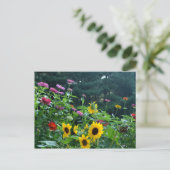 Carte Postale Beau jardin fleuri (Debout devant)