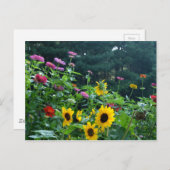 Carte Postale Beau jardin fleuri (Devant / Derrière)