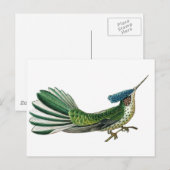 Carte Postale Beau joli oiseau de paradis (Devant / Derrière)