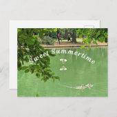 Carte Postale Beau lac d'été avec canards. (Devant / Derrière)