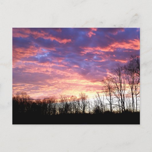 Carte Postale Beau lever de soleil hivernal (Devant)