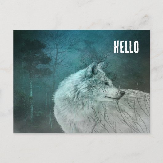 Carte Postale Beau loup gris dans une forêt foncée (Devant)