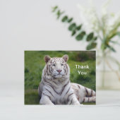 Carte Postale Beau Merci photo de tigre blanc (Debout devant)