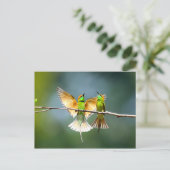 Carte Postale Beau Motmot Bird sur Branche (Debout devant)