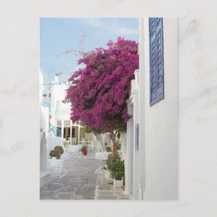 Carte Postale Beau Mykonos