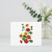 Carte Postale Beau Nasturtiums brodés colorés (Debout devant)