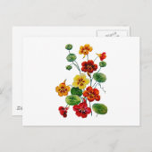 Carte Postale Beau Nasturtiums brodés colorés (Devant / Derrière)