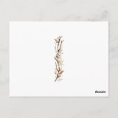 Carte Postale Beau Océan Flamants roses Rose Palmiers Sable (Dos)