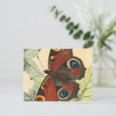 Carte Postale Beau Papillon (Debout devant)