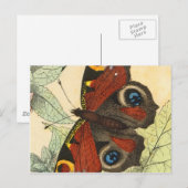 Carte Postale Beau Papillon (Devant / Derrière)