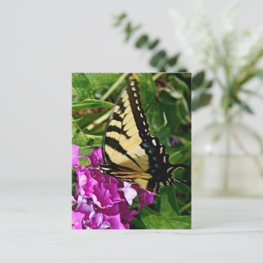 Carte Postale Beau Papillon (Debout devant)