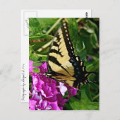 Carte Postale Beau Papillon (Devant / Derrière)