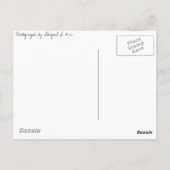 Carte Postale Beau Papillon (Dos)