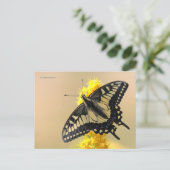 Carte Postale Beau papillon anis Swallowtail au soleil (Debout devant)