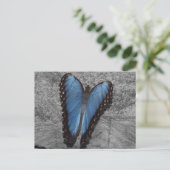 Carte Postale Beau Papillon Bleu (Debout devant)