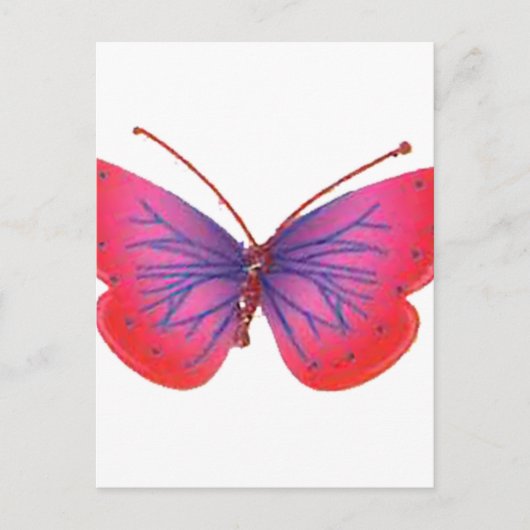Carte Postale Beau papillon rouge Extraordinaire rose et violet (Devant)