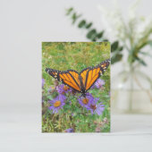 Carte Postale Beau papillon sur Cornflowers (Debout devant)