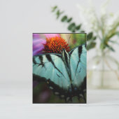 Carte Postale Beau Papillon Turquoise Swallowtail (Debout devant)