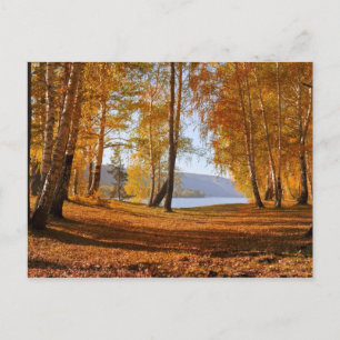 Carte Postale Beau paysage d'automne