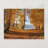 Carte Postale Beau paysage d'automne (Devant)