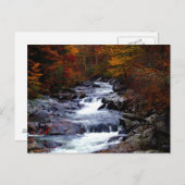 Carte Postale Beau paysage de crique (Devant / Derrière)