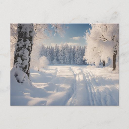 Carte Postale Beau paysage de forêt d'hiver (Devant)