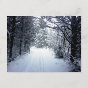 Carte Postale Beau paysage hivernal