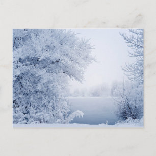 Carte Postale Beau paysage hivernal
