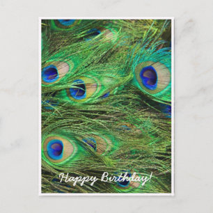 Carte Postale Beau Peacock