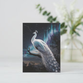 Carte Postale Beau Peacock Blanc Aurora Borealis Pittoresque (Debout devant)