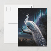 Carte Postale Beau Peacock Blanc Aurora Borealis Pittoresque (Devant / Derrière)