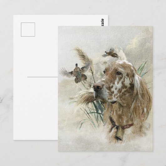 Carte Postale Beau plateau avec faisans, Art (Devant / Derrière)