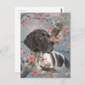 Carte Postale Beau pointeur avec faisans (Devant / Derrière)