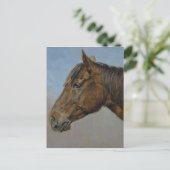 Carte Postale Beau Portrait Brown Horse (Debout devant)