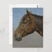 Carte Postale Beau Portrait Brown Horse (Devant / Derrière)