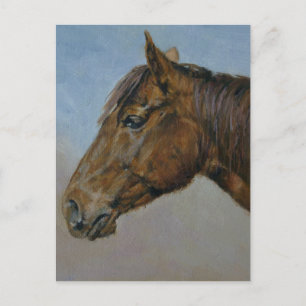 Carte Postale Beau Portrait Brown Horse