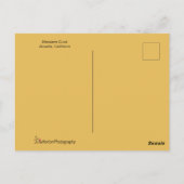 Carte Postale Beau Portrait de canard (Dos)