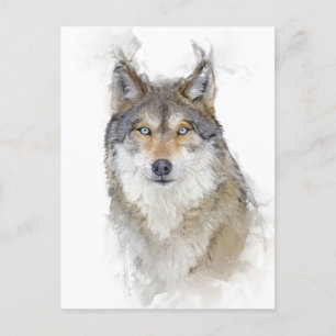 Carte Postale Beau portrait Wolf