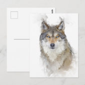 Carte Postale Beau portrait Wolf (Devant / Derrière)