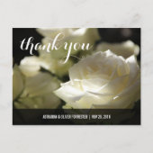 Carte Postale Beau romantique Rose blanche Mariage Merci (Devant)