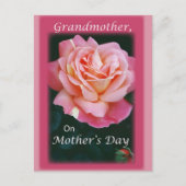 Carte Postale Beau Rose (Devant)