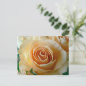 Carte Postale Beau Rose Apricot (Debout devant)